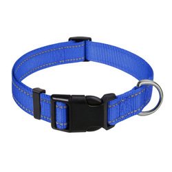 Blue nylon dog collar